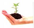 Stewardship
